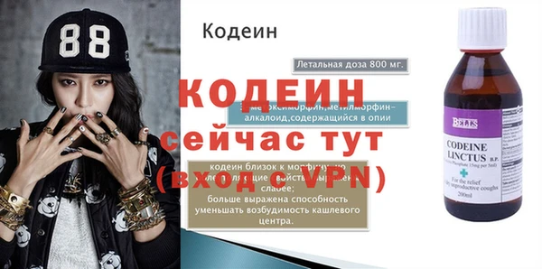 дживик Белокуриха